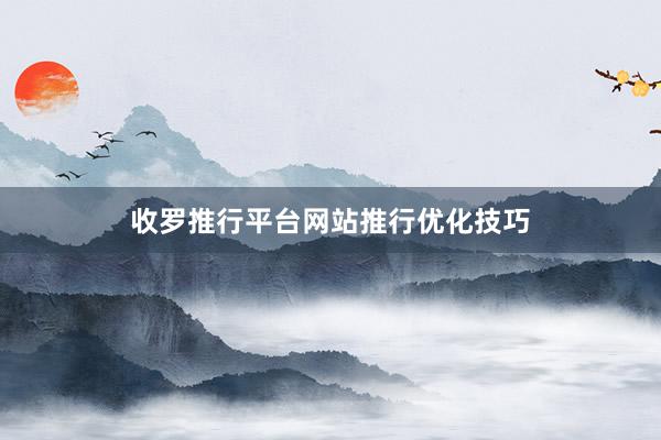 收罗推行平台网站推行优化技巧
